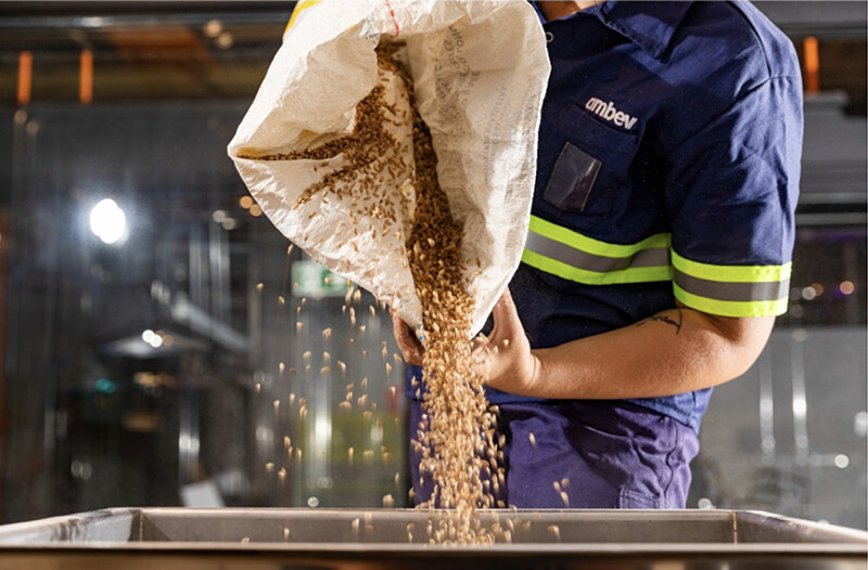 Foto de fécula de cerveja.